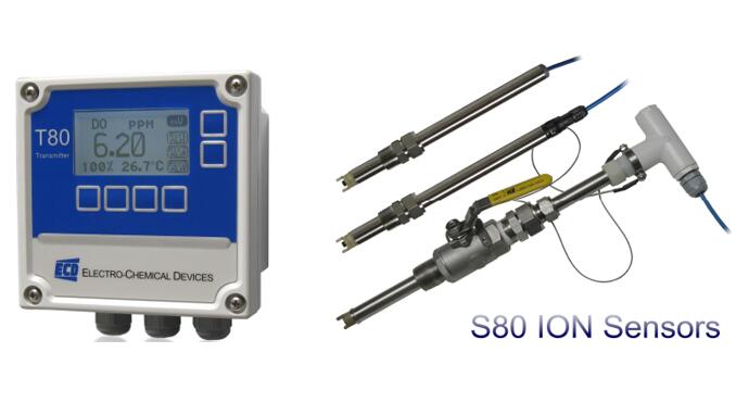 TS-8080型在線(xiàn)離子監(jiān)測(cè)儀-美國(guó)ECD
